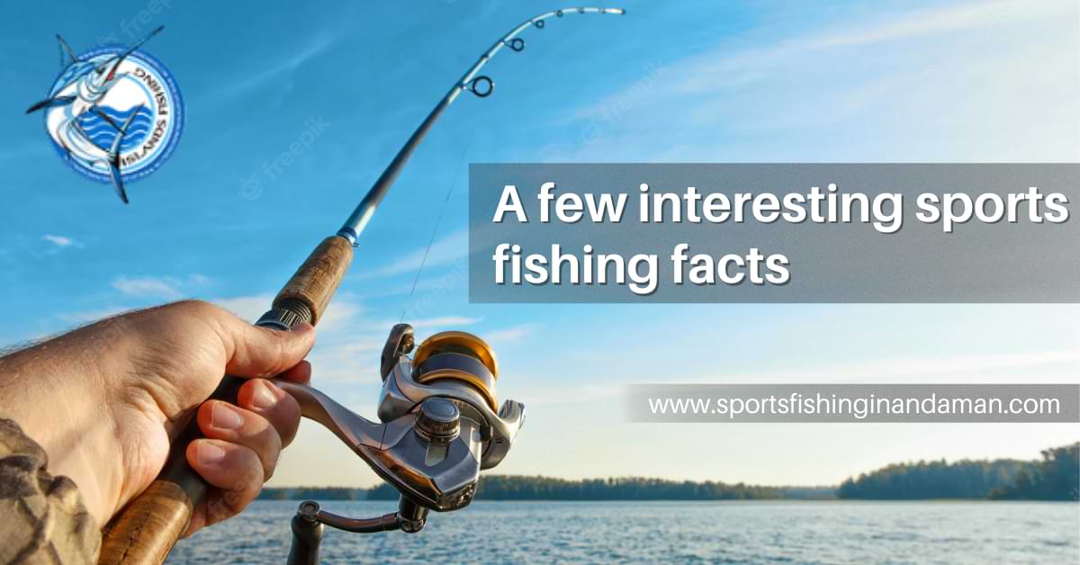 Interesting facts about game fishing and sports fishing