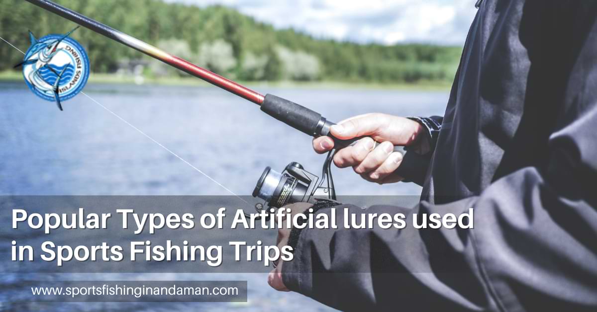 Artificial lures used in Sports Fishing Trips