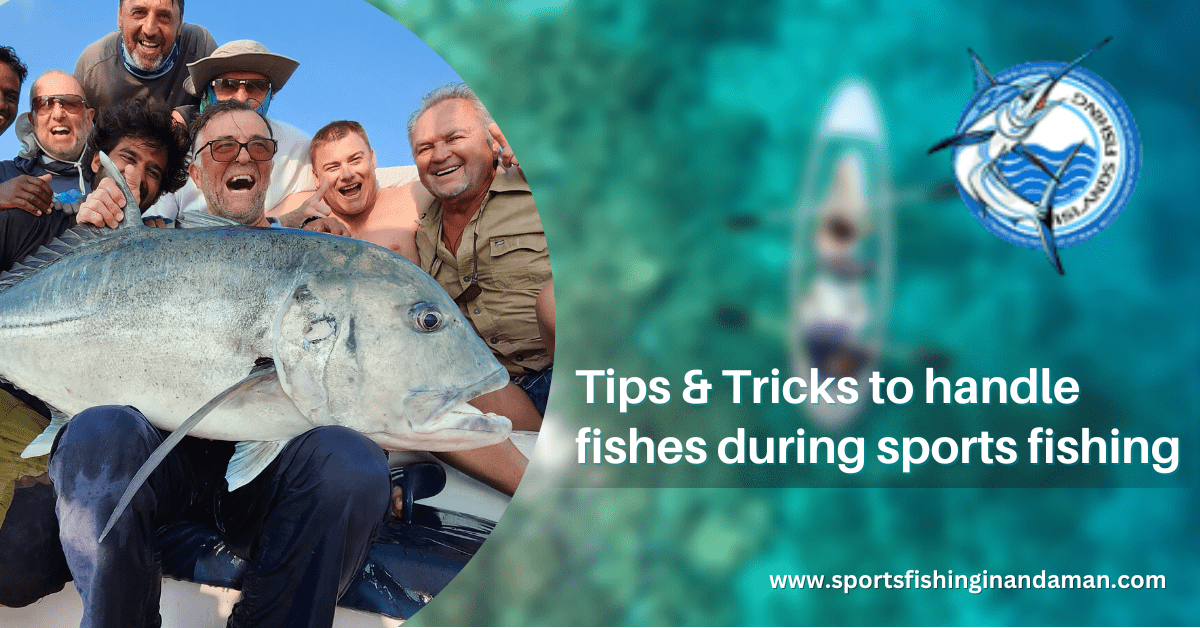 tips & trick of catching fishes during sports fishing