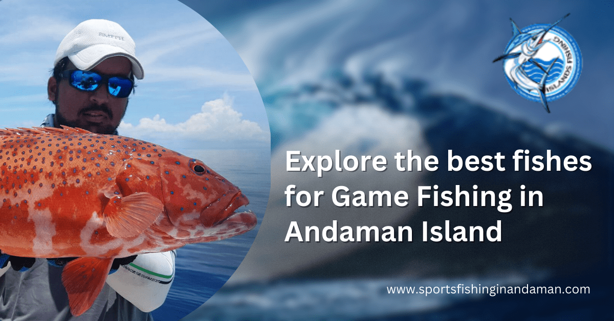 Choose Sports Fishing in Andaman for a great adventure time in vacation