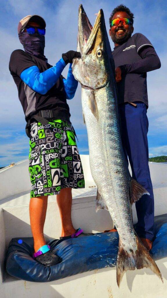 Andaman's splendid game fishing adventure in action with Giant Barracuda