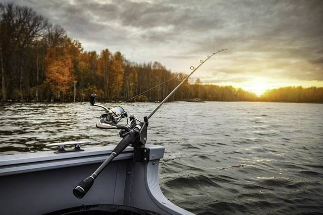  Mastering Game Fishing: Top Mistakes and Pro Tips for Success