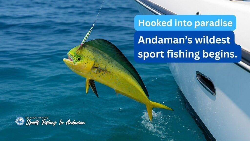 Mahi Mahi Fishing in Andaman
