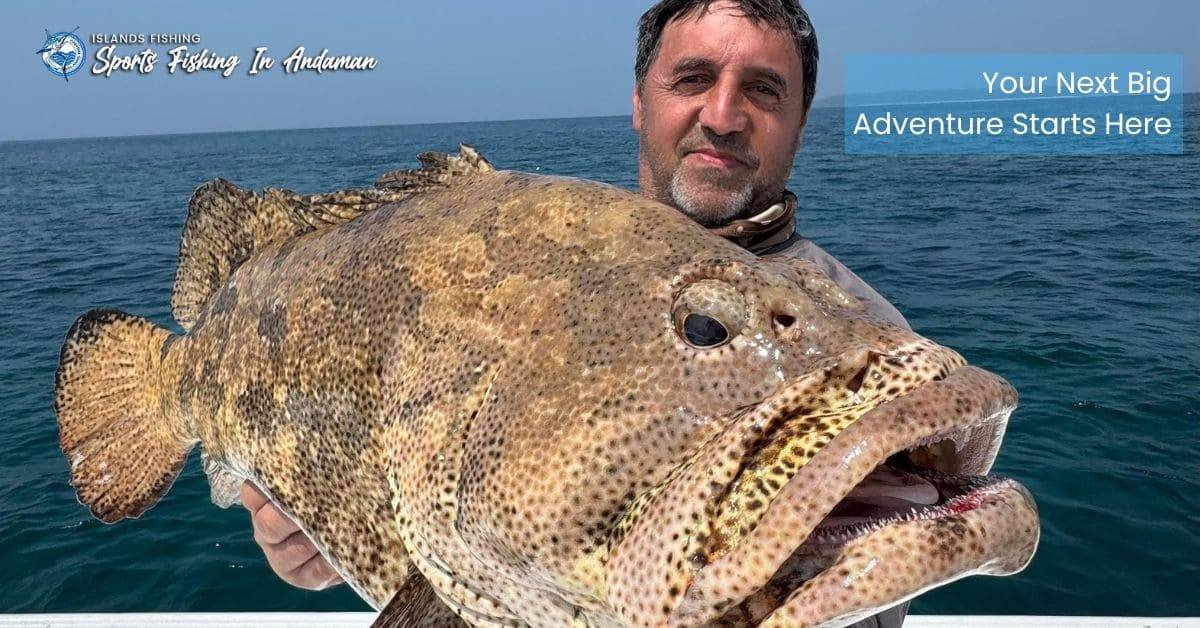 Get Andaman Fishing Charters for your adventure.